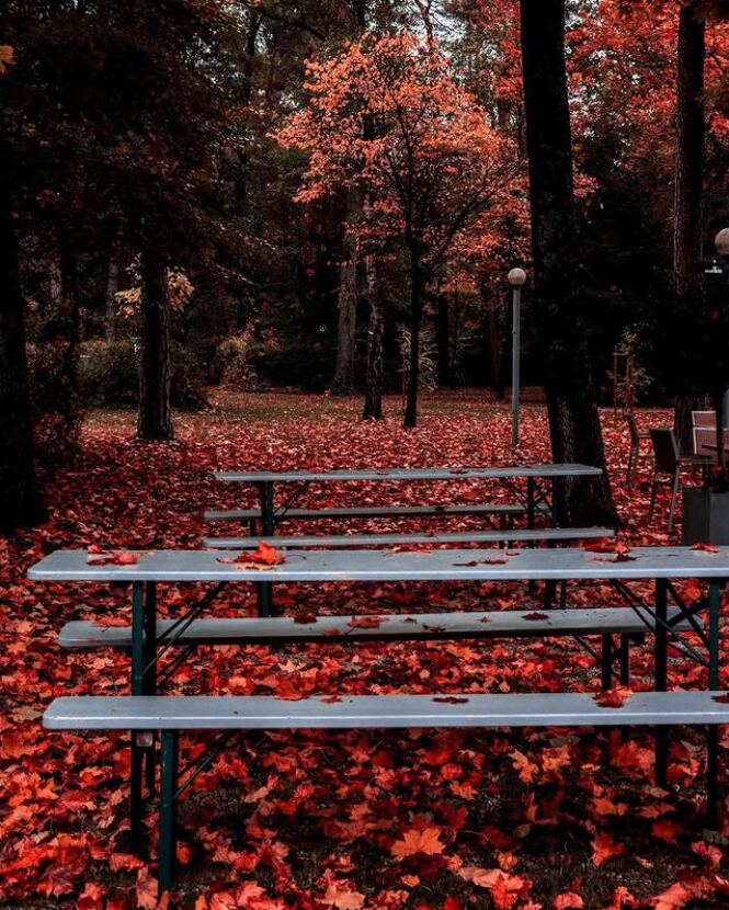 Biergarten im Herbstlaub